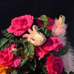 "Tischlein- deck - dich!"