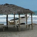 "Botica Verde - Leben ist Bewegung"